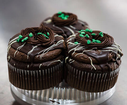 Chocolate Mousse Cupcake